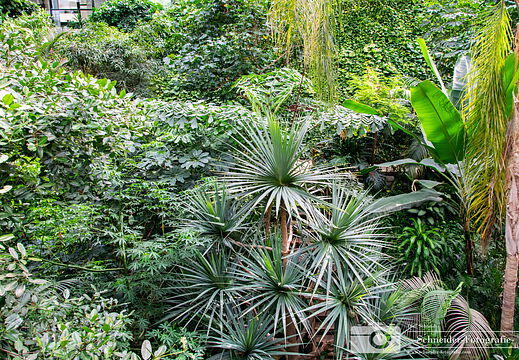 Biosphäre