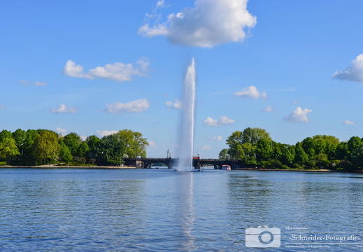 Springbrunnen im Park See