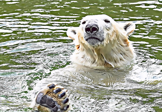 Eisbär