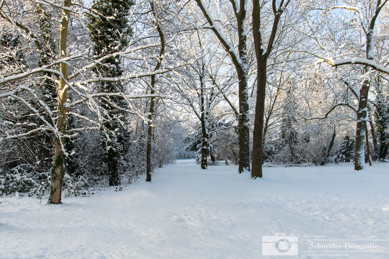 Winter in Berlin- Rudow