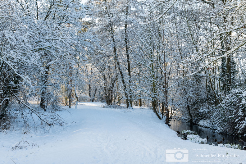 Winter in Berlin- Rudow