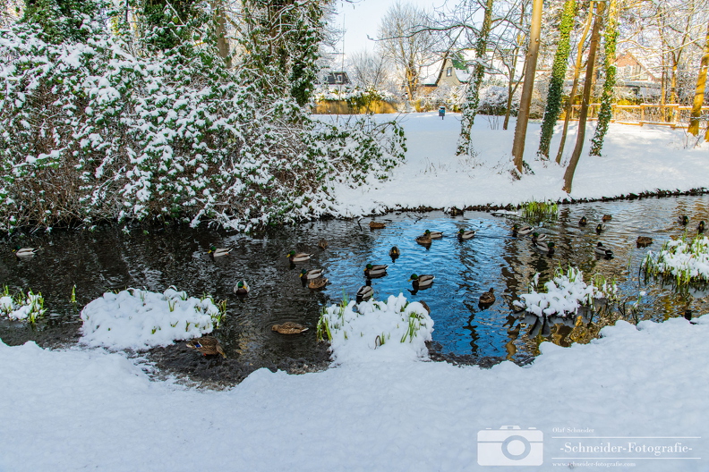 Winter in Berlin- Rudow