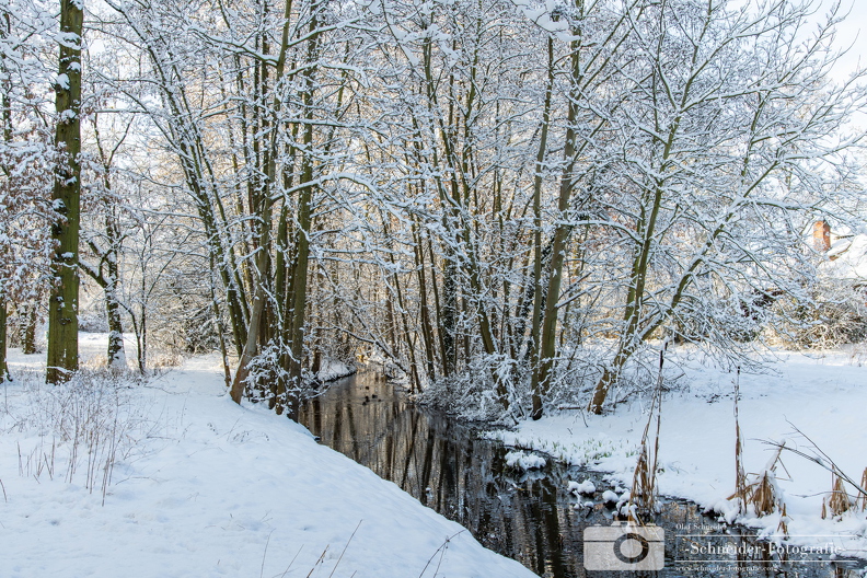 Winter in Berlin- Rudow