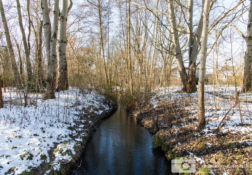Winter in Rudow