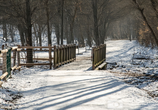 Winter in Rudow
