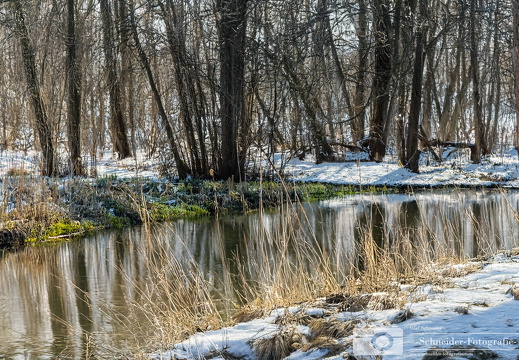 Winter in Rudow